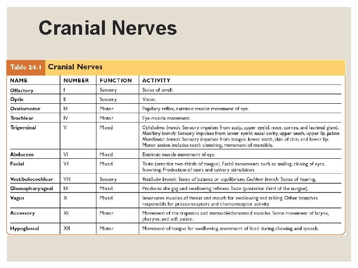 Cranial Nerves Cranial Nerves