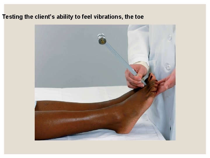 Testing the client’s ability to feel vibrations, the toe Testing the client’s ability to feel vibrations, the toe