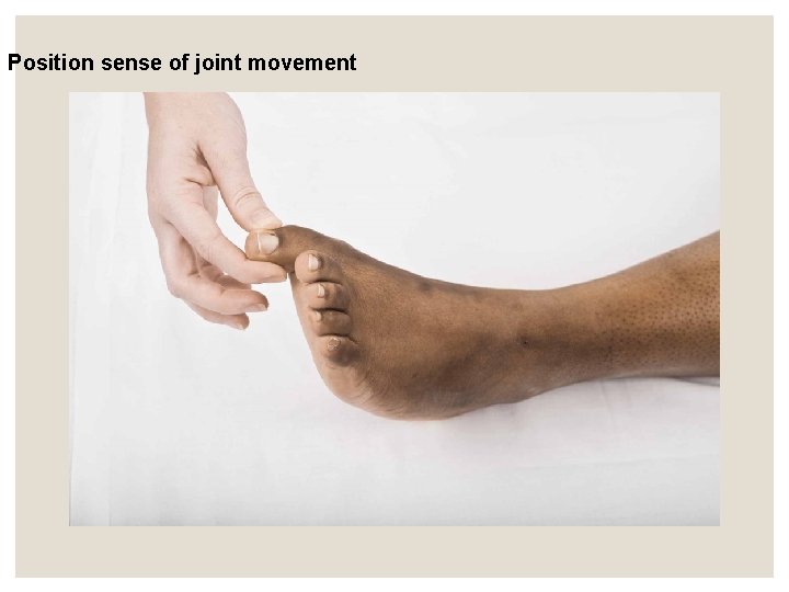 Position sense of joint movement Position sense of joint movement