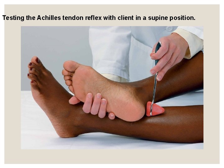 Testing the Achilles tendon reflex with client in a supine position. Testing the Achilles tendon reflex with client in a supine position.
