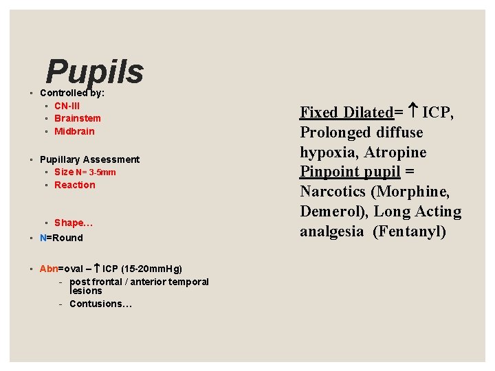 Pupils ◦ Controlled by: ◦ CN-III ◦ Brainstem ◦ Midbrain ◦ Pupillary Assessment ◦ Pupils ◦ Controlled by: ◦ CN-III ◦ Brainstem ◦ Midbrain ◦ Pupillary Assessment ◦