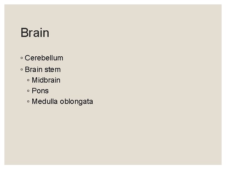 Brain ◦ Cerebellum ◦ Brain stem ◦ Midbrain ◦ Pons ◦ Medulla oblongata Brain ◦ Cerebellum ◦ Brain stem ◦ Midbrain ◦ Pons ◦ Medulla oblongata
