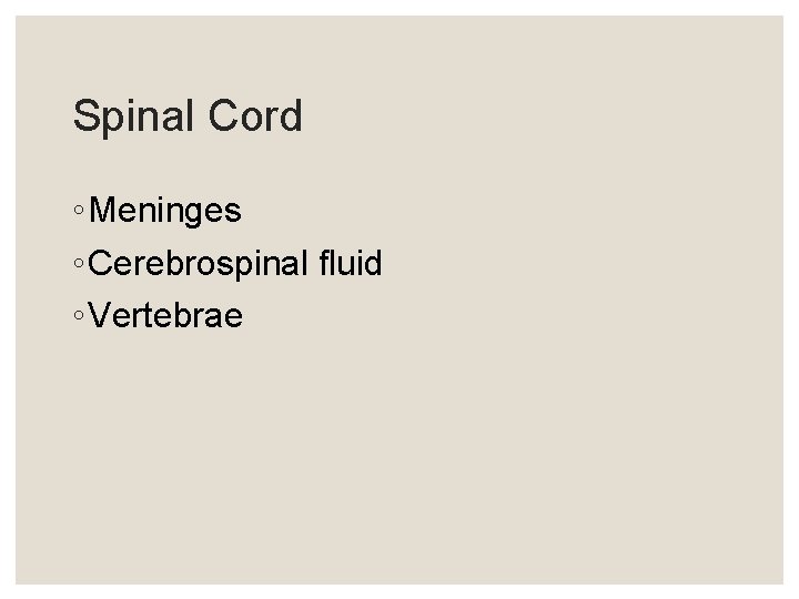 Spinal Cord ◦ Meninges ◦ Cerebrospinal fluid ◦ Vertebrae Spinal Cord ◦ Meninges ◦ Cerebrospinal fluid ◦ Vertebrae