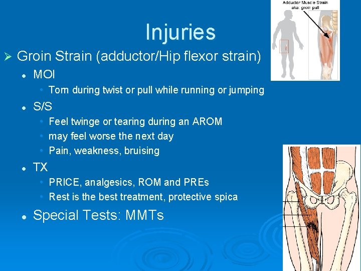 Injuries Ø Groin Strain (adductor/Hip flexor strain) l MOI • Torn during twist or