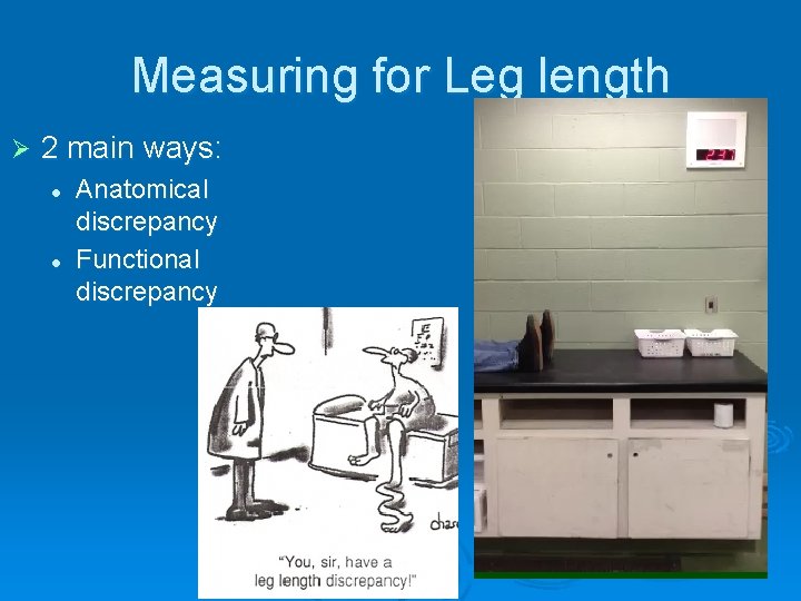 Measuring for Leg length Ø 2 main ways: l l Anatomical discrepancy Functional discrepancy