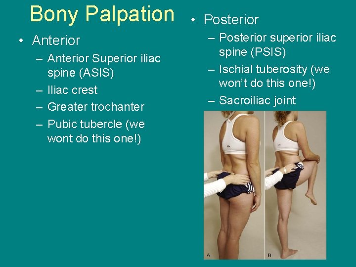 Bony Palpation • Anterior – Anterior Superior iliac spine (ASIS) – Iliac crest –