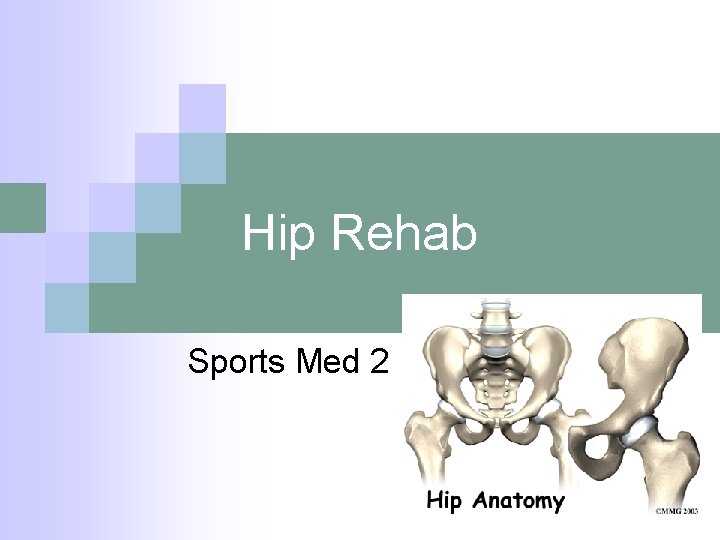 Hip Rehab Sports Med 2 