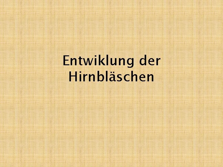 Entwiklung der Hirnbläschen 