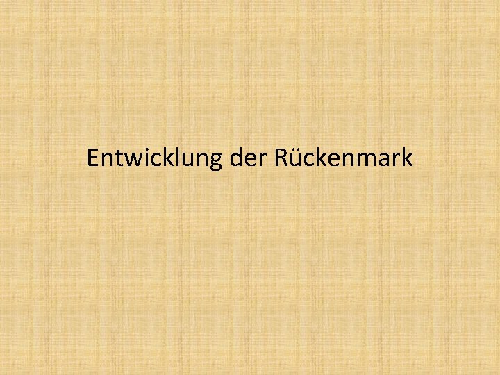 Entwicklung der Rückenmark 