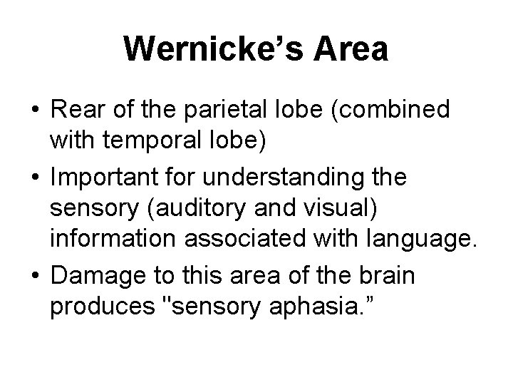 Wernicke’s Area • Rear of the parietal lobe (combined with temporal lobe) • Important