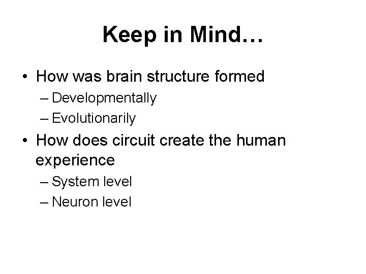 Keep in Mind… • How was brain structure formed – Developmentally – Evolutionarily •