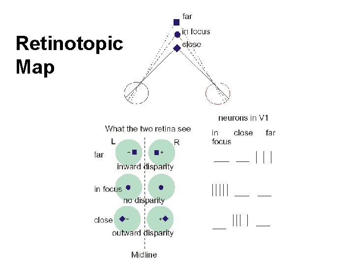 Retinotopic Map 