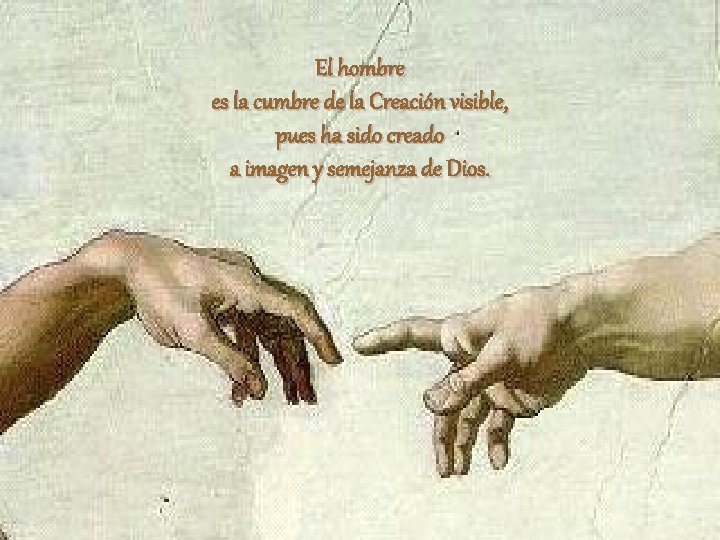 El hombre es la cumbre de la Creación visible, pues ha sido creado a