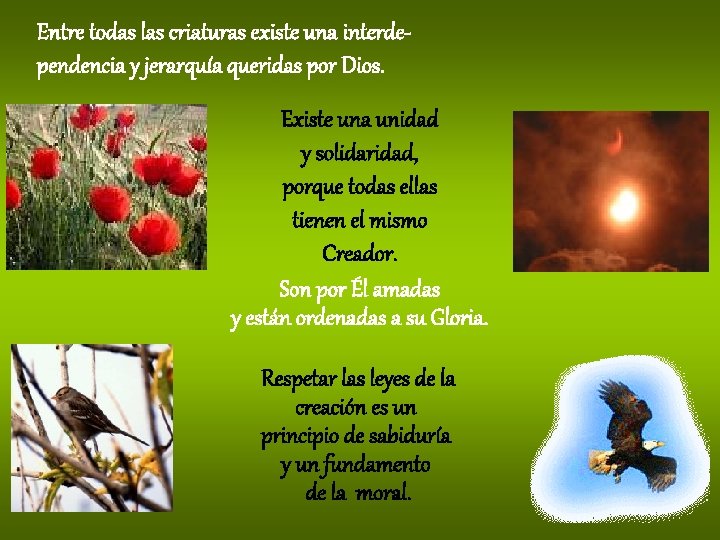 Entre todas las criaturas existe una interdependencia y jerarquía queridas por Dios. Existe una