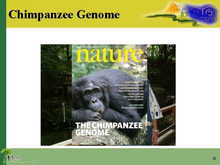 Chimpanzee Genome 28 