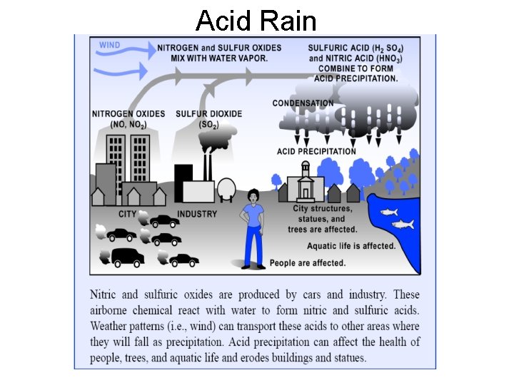 Acid Rain 