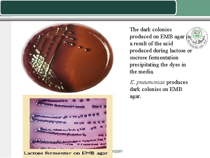The dark colonies produced on EMB agar is a result of the acid produced