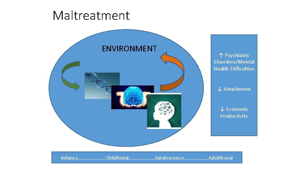 Maltreatment ENVIRONMENT ↑ Psychiatric Disorders/Mental Health Difficulties ↓ Attachment ↓ Economic Productivity Infancy. ……………….