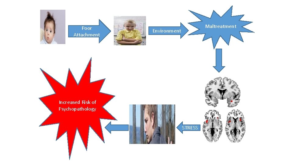 Poor Attachment Maltreatment Environment Increased Risk of Psychopathology STRESS 