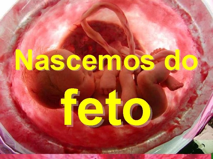 Nascemos do feto www. pazcury. com. br – (31) 9301. 0950 20 