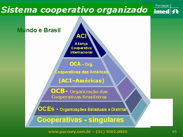 Sistema cooperativo organizado Mundo e Brasil ACI Aliança Cooperativa Internacional OCA – Org. Cooperativas