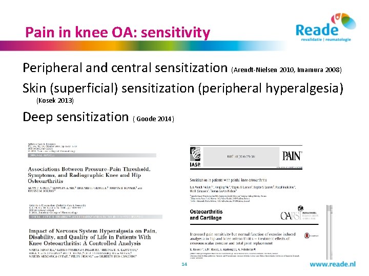 Pain in knee OA: sensitivity Peripheral and central sensitization (Arendt-Nielsen 2010, Imamura 2008) Skin