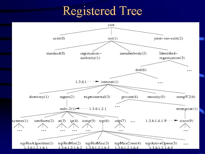 Registered Tree 