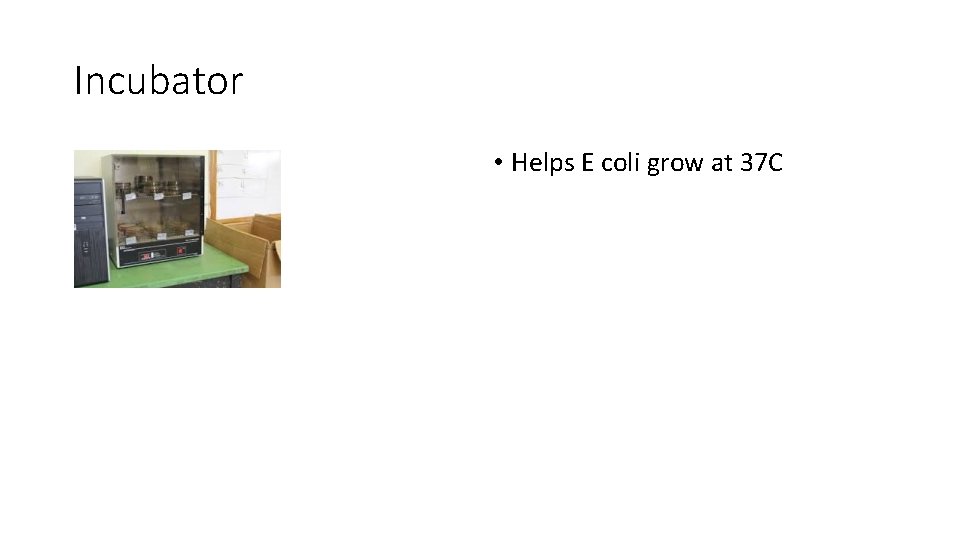 Incubator • Helps E coli grow at 37 C 