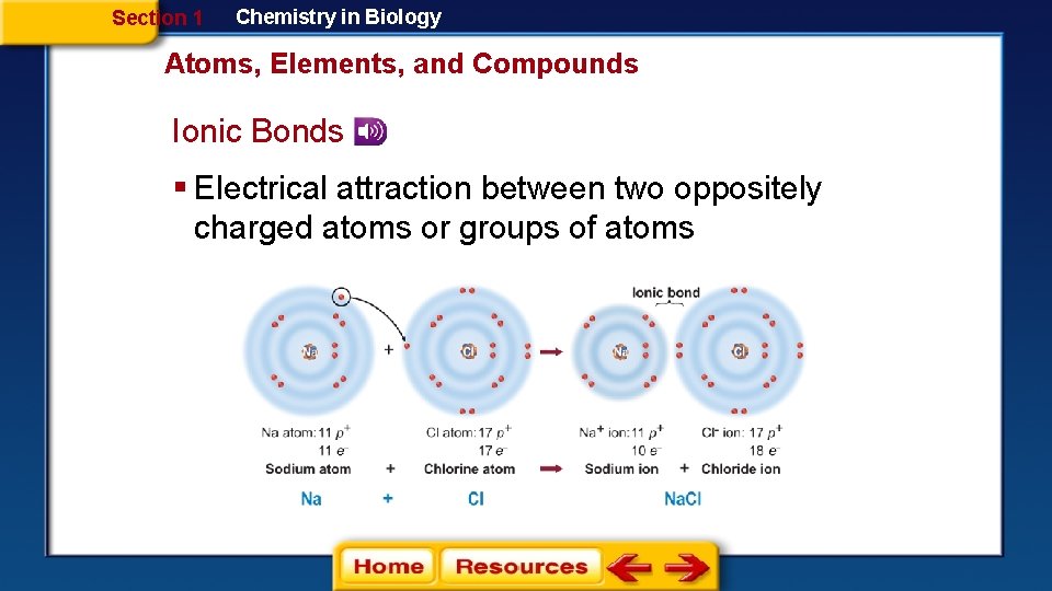 Section 1 Chemistry in Biology Atoms, Elements, and Compounds Ionic Bonds § Electrical attraction