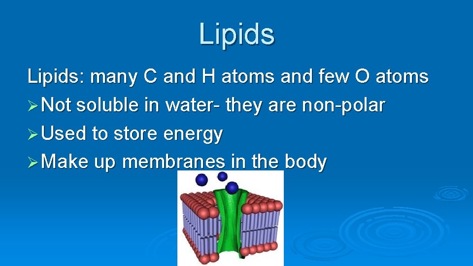 Lipids: many C and H atoms and few O atoms Ø Not soluble in
