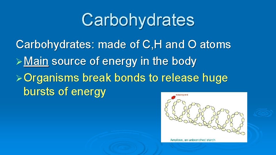 Carbohydrates: made of C, H and O atoms Ø Main source of energy in