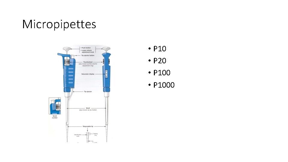 Micropipettes • P 10 • P 20 • P 1000 