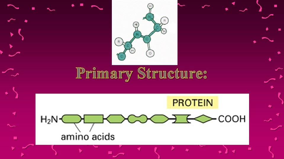 Primary Structure: 