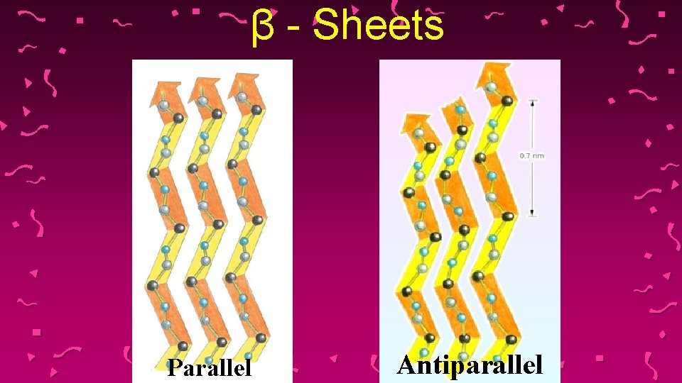 β - Sheets Parallel Antiparallel 