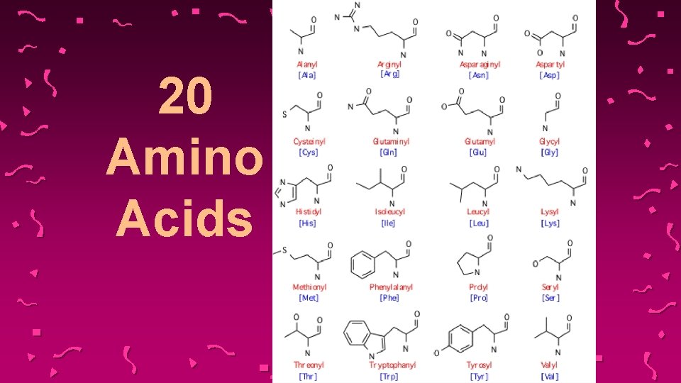 20 Amino Acids 