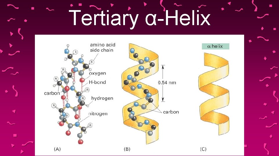 Tertiary α-Helix 