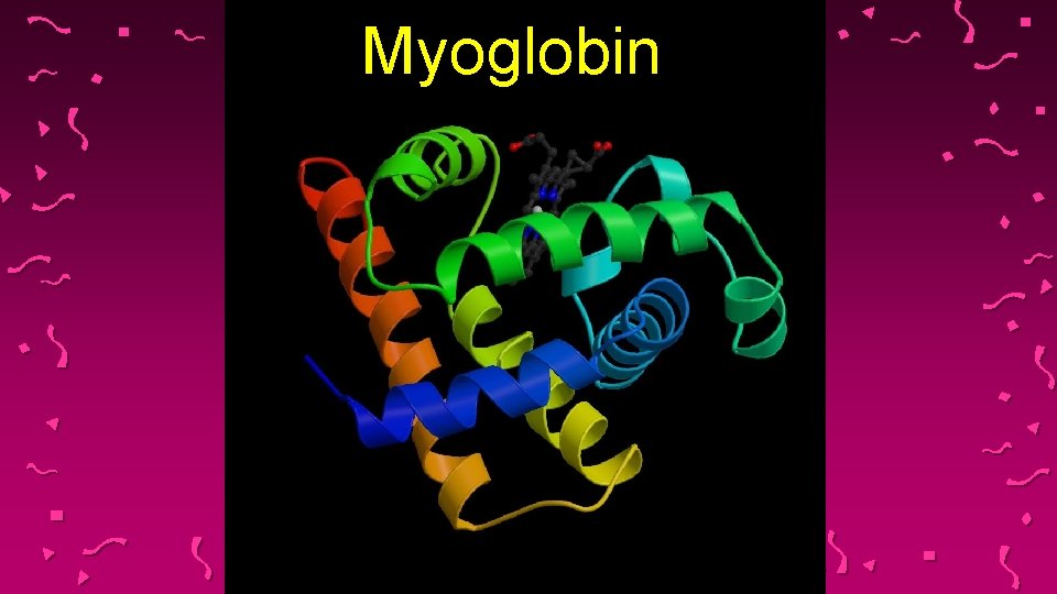 Myoglobin 