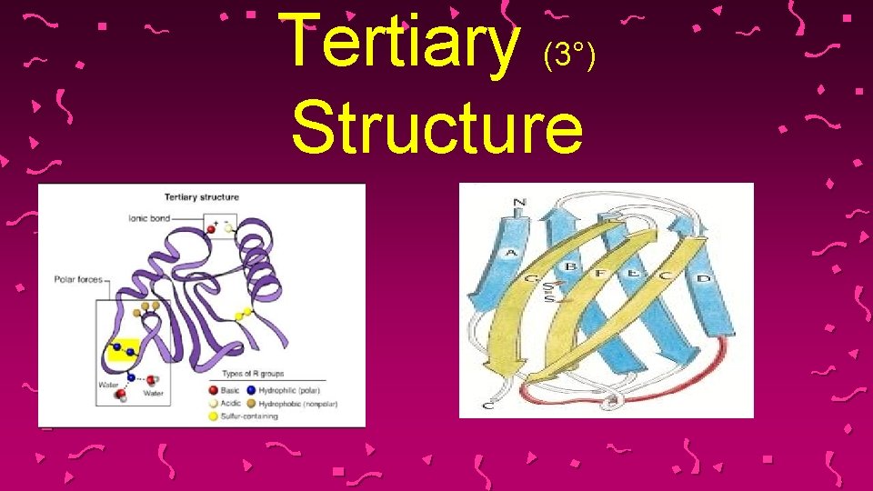 Tertiary (3°) Structure 