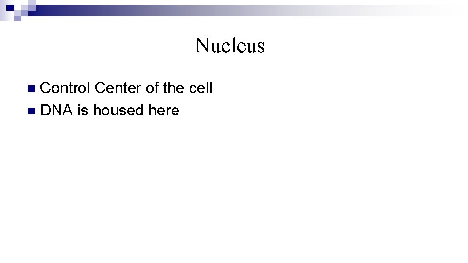Nucleus Control Center of the cell n DNA is housed here n 