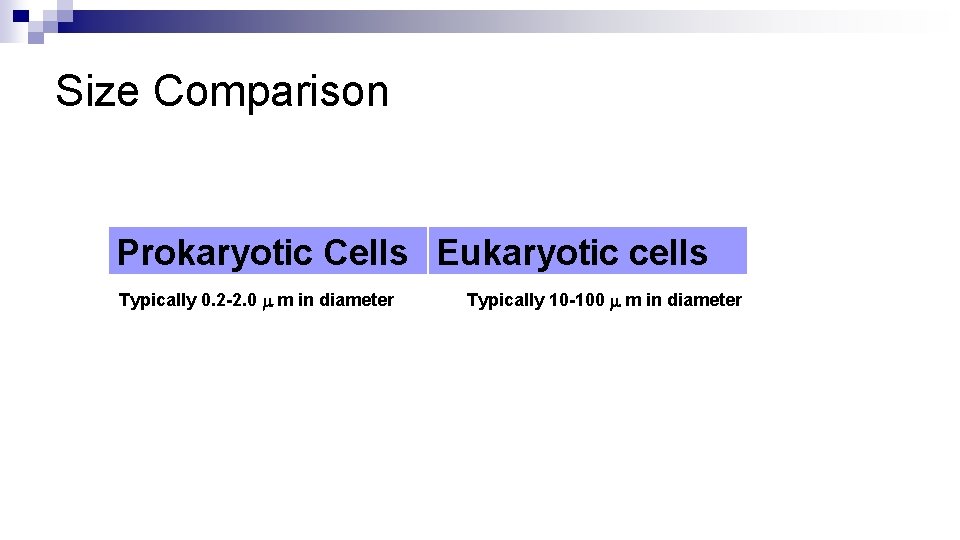 Size Comparison Prokaryotic Cells Eukaryotic cells Typically 0. 2 -2. 0 m m in