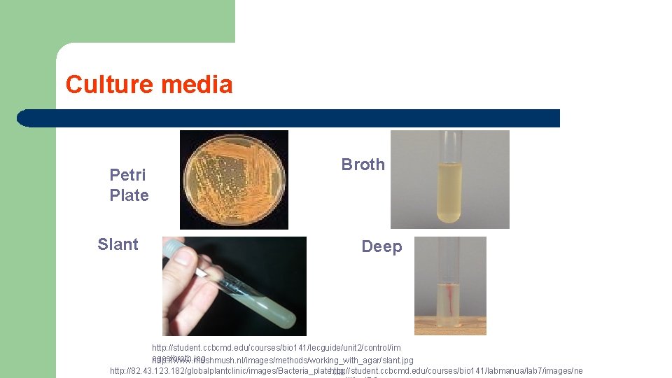 Culture media Petri Plate Slant Broth Deep http: //student. ccbcmd. edu/courses/bio 141/lecguide/unit 2/control/im ages/broth.