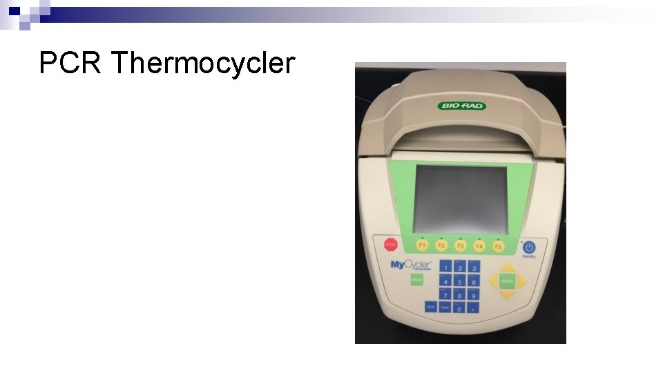 PCR Thermocycler 