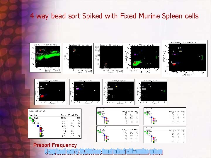 4 way bead sort Spiked with Fixed Murine Spleen cells Presort Frequency 