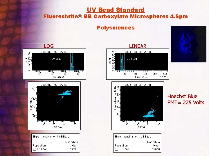 UV Bead Standard Fluoresbrite® BB Carboxylate Microspheres 4. 5µm Polysciences LOG LINEAR Hoechst Blue