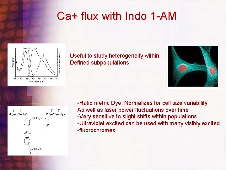 Ca+ flux with Indo 1 -AM Useful to study heterogeneity within Defined subpopulations -Ratio