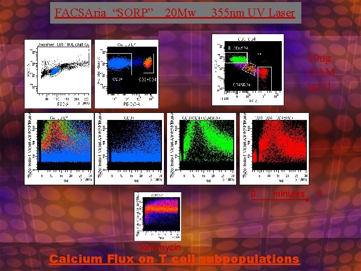 FACSAria “SORP” 20 Mw 355 nm UV Laser 10 ug GAM Ig. G 1