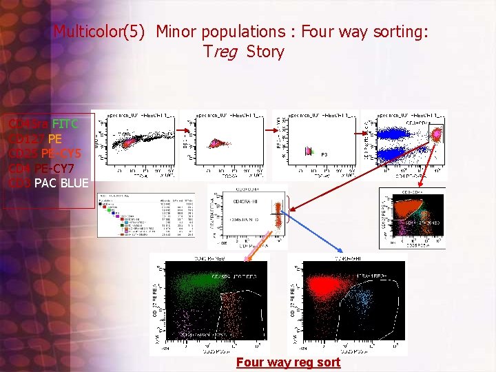 Multicolor(5) Minor populations : Four way sorting: Treg Story CD 45 ra FITC CD