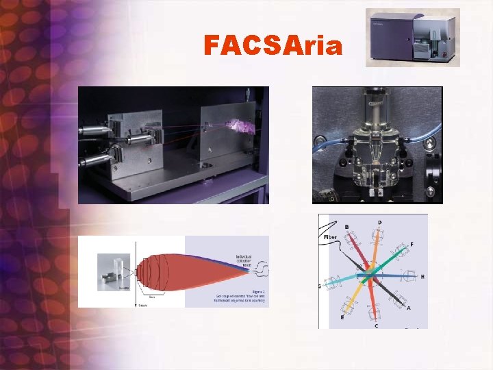 FACSAria 