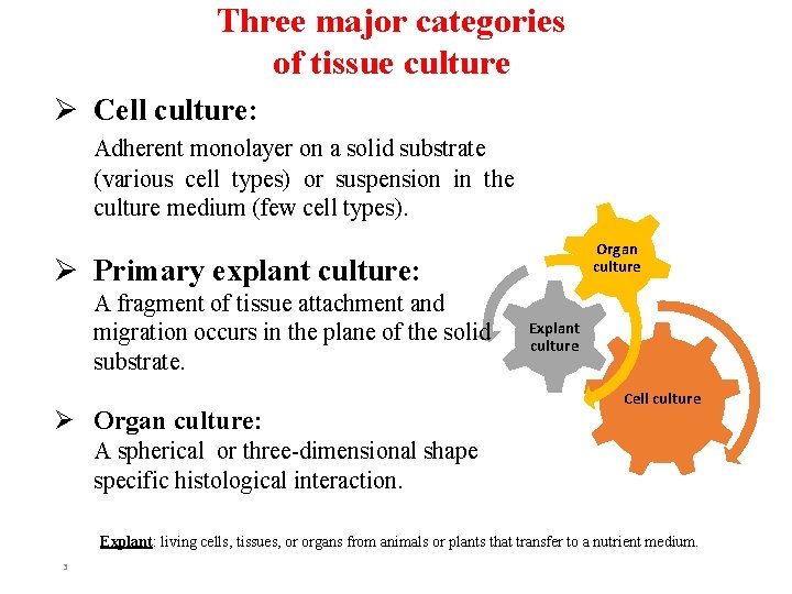 Three major categories of tissue culture Ø Cell culture: Adherent monolayer on a solid