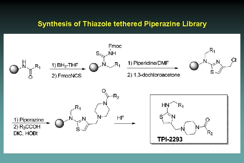 Synthesis of Thiazole tethered Piperazine Library 